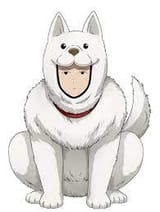 dog10