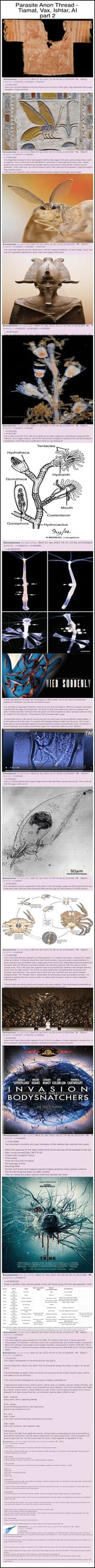 TiamatXParasite2