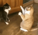 small fighters
