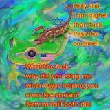 goy