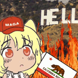 awoo maga califorina fire