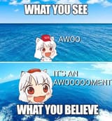 awoo awoovement2