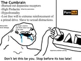cumbrain ybop porn addiction infographic meme
