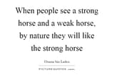 strong horse