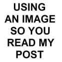 using-an-image-so-you-read-my-post-you-goddamn-fucking-faggots