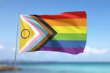 Flag_mockup_13-scaled-2354306963