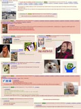 1711005255582501