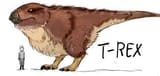 T Rex
