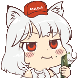awoo eating a plane