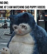 crying-meme-me-at-3am-watching-sad-puppy-videos