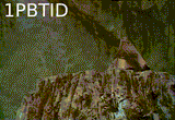 1PBTID-S5