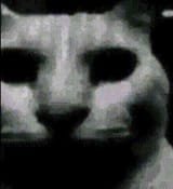 1728727628706608
