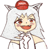 awoo at noon