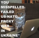 1729327790514369
