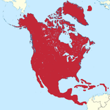 1729860656169376