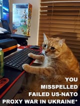 1742413703271341