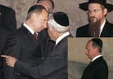 Vladimirstein_Putinberg