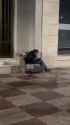Walkable City - Black on White Crime - New arrivals from Africa, beating a native Spanish homeless person [63a639c0_20241128162556_t-1] (no audio) (2MB)_thumb.jpg