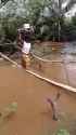 Nigress makes her way across a river on a bridge expertly constructed by the most educated Dindu Architects in all of Africa_thumb.jpg