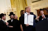 djt