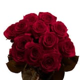 images (4) (8)