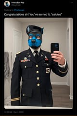 17149784938141