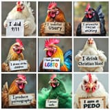 chickensin