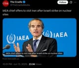 IAEA clown