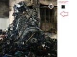find the skull