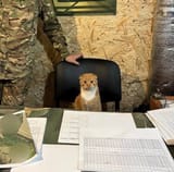 general kot