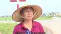 chinese road accident during interview_thumb.jpg