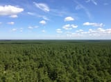 1280px-2014-08-29_11_51_25_View_north-northeast_from_the_fire_tower_on_Apple_Pie_Hill_in_Wharton_State_Forest,_Tabernacle_Township,_New_Jersey
