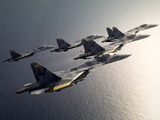 Screenshot 2025-06-13 at 18-58-58 Yellow_Squadron_over_water.jpg (imagem JPEG 800 × 600 pixeis)