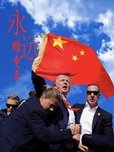 橘狗同志