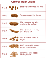 Common_Indian_Cuisine-Shit