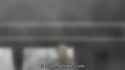 1644446301338_thumb.jpg