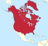 One Big Fat America