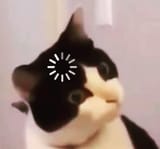 125439585_2823946871178913_4669537274327588420_n
