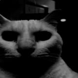 1748917072544673