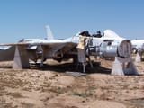 F-14Catto