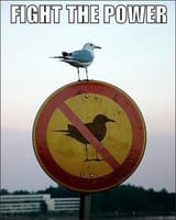 fight the power