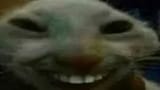 hehehehehe