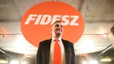 fidesz gypsie