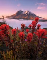 Mt. St. Helens, Washington