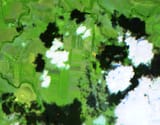 Screenshot from 2025-06-13 12-52-42