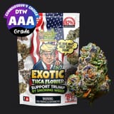 DONALDTRUMPWEED_THCA_GUSHERS-SMALLS-AAA_Indica_BLACK-1__71913