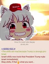 shills nuked israel