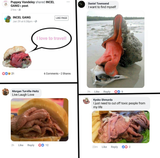 1608223397411