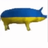 ukiepig