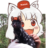 AWOO_Quolling